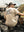 Camiseta Custom Offroad Kaki